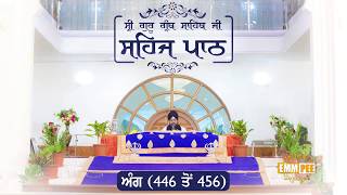 Angg  446 to 456 - Sehaj Pathh Shri Guru Granth Sahib