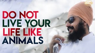 Do not LIVE your LIFE like ANIMALS