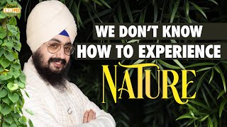 How to experience Nature