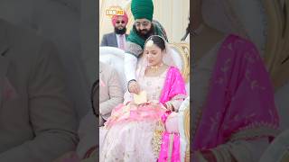 Dhadrianwale Latest Video Reel 08 02 2025 264