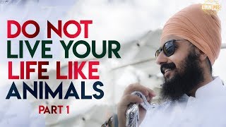 Part 1 - Do not LIVE your LIFE like ANIMALS - Shabad Kirtan