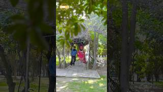Dhadrianwale Latest Video Reel 23 01 2025 353