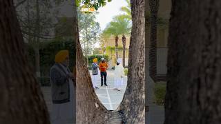 Dhadrianwale Latest Video Reel 05 02 2025 754