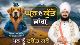 Train The Mind Like A House Dog Dhadrianwale