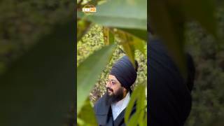 Dhadrianwale Latest Video Reel 18 02 2025 353
