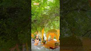 Dhadrianwale Latest Video Reel 20 03 2025 100